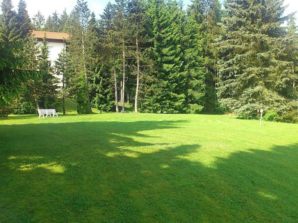 Waldhotel Berghof Luisenthal Exterior photo